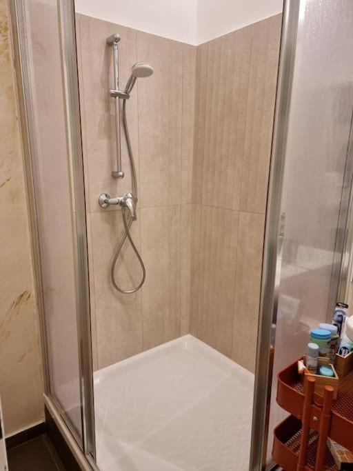 Sissi Royal Suite - Inner City 4 Bedroom Apartment Wiedeń Zewnętrze zdjęcie